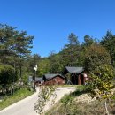 무안다산마을 버스승강장 옆 | 영암 가볼만한 곳 추천! 걷기 좋은 365 기운담길 생태로드 1-6