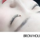 브로우 홀릭