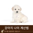 계산동물병원 네이버블로그