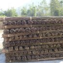 대나무숲길 이미지