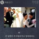 반값애견