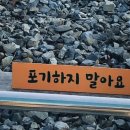 전주한옥레일바이크 네이버블로그