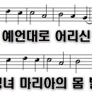이새 티스토리