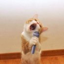 드가여관 이미지