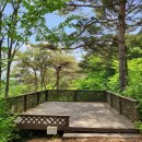 고운힐링팜 이미지