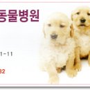 펫２５시동물병원