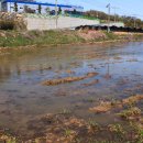 신봉 낚시터 이미지