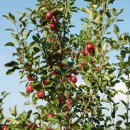 예덴농장 이미지