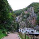 워리워리 이미지