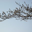 楚辭(초사) 離騷(이소) 後段(후단) 天文(천문) 제2단 - 3.