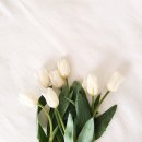 봄빛병원 이미지