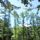 구곡폭포 캠핑장 이미지