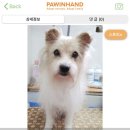 짱구네 동물병원 이미지