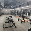 VAWE GYM | 깨끗하고 넓은 VAWE GYM 과천점 과천 헬스장