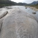 금수정 티스토리
