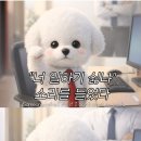 문덕상사