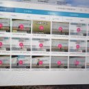 진량대박점핑 이미지