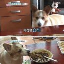 짜우탕 이미지