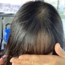 헤어광 | 탈모샴푸 마로MARO17 콜라겐배합!!모근을 힘있게 해 주고, 풍성감두 엿보여요~^^