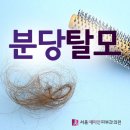 분당탈모 언제까지 혼자서만 애태우고 계실건지 이미지