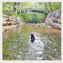 장척계곡식당 이미지