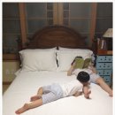 [이벤트후기]선퀼트와 함께한 초록여신님 이벤트후기