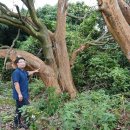 성읍리-14 제주의소리
