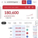 현대M솔루션 이미지