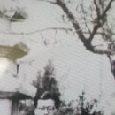 화신이발 네이버블로그