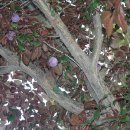 창리서로 이미지