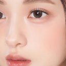 데메테르H 이미지