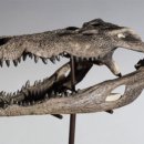 박명기 동물병원 이미지