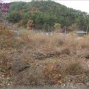 완월동282 이미지