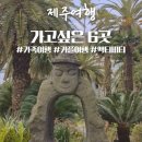 제주도 여행 가고싶은곳 추천 :: 아라리오뮤지엄/방주교회/에코랜드/제주도잠수함/제주도돌고래투어