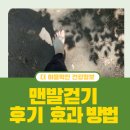 원주얼교육관 | 원주 맨발걷기 운곡솔바람숲길 후기