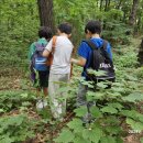 나무랑 풀이랑 이미지