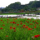 황룡강변2 이미지