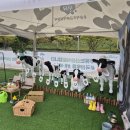 동편목장 | 도심 속 목장 나들이:) 아이들과 가기 좋은 체험행사