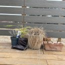 퇴곡민박 이미지