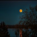The Moon Represents My Heart(月亮代表我的心) / Carl Doy 이미지