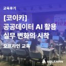스킬 up 엑셀 | [코이카/공공데이터 AI] AI 엑셀 자동화부터 데이터 판단까지! 공공기관 실무 역량 강화 특강 🪄