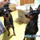 리인프리 이미지