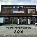 온순복