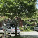 강동로4-11 이미지