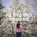 목련식당 | 서울 꽃구경 데이트 장소 코스 추천 이대 목련 틈만나면 촬영지 모미지식당 비아콜렉티브 카페