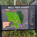 숲속쉼터 이미지