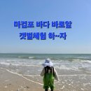 태안안면도 아이랑키즈 독채 오션뷰 풀빌라 | 새물 급수하는 안전한 키즈온수풀! 태안 안면도 아이랑 키즈 독채 오션뷰 풀빌라 겨울 방학 여행지 추천~