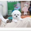 유앤미프라자 이미지