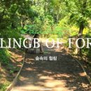 숲속의 연화 펜션 이미지