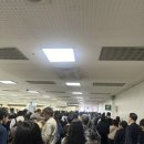 꼬마네식당 | 우리의 두 번째 오사카 여행
